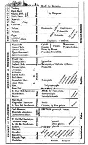 Diagram of the geologic timescale from an 1861 book by Richard Owe