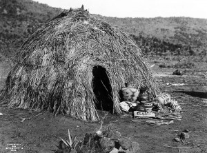 Traditional Wigwam